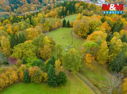 2.jpg | Prodej - pozemek, trvalý travní porost, 1 589 m²