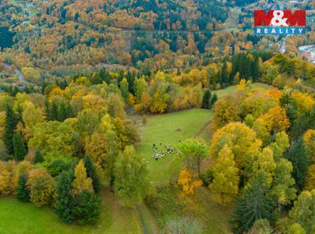 3.jpg | Prodej - pozemek, trvalý travní porost, 1 589 m²