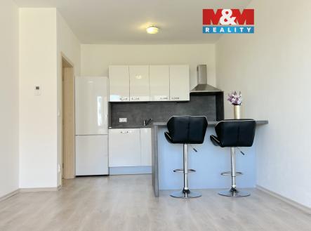 IMG_0151.jpg | Pronájem bytu, 2+kk, 51 m²