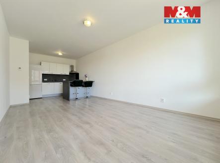 IMG_0142.jpg | Pronájem bytu, 2+kk, 51 m²