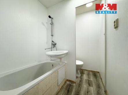 IMG_5167.jpg | Pronájem bytu, 1+kk, 20 m²