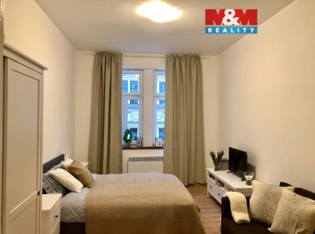 IMG_0198.jpg | Pronájem bytu, 1+1, 34 m²