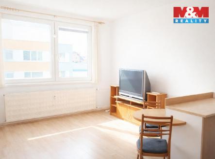 stáhnout (24).jpg | Pronájem bytu, 1+kk, 26 m²
