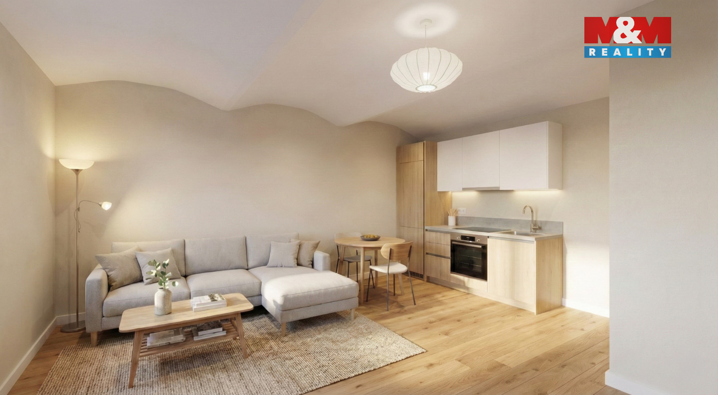 Kopie souboru obývací pokoj s kuchyní.jpeg