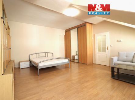 IMG_4192.jpg | Pronájem bytu, 1+1, 46 m²