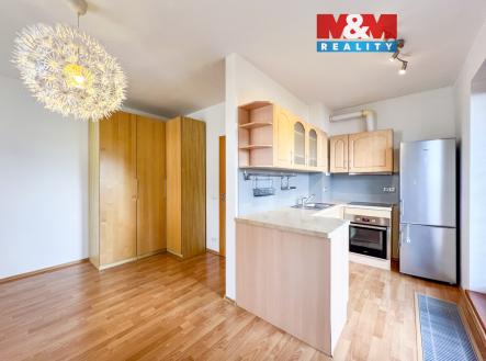 IMG_3247.jpg | Pronájem bytu, 1+kk, 31 m²