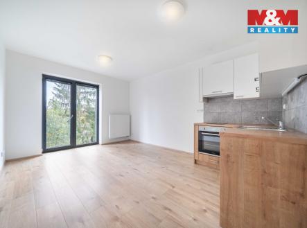 1 (2).jpg | Pronájem bytu, 1+kk, 32 m²