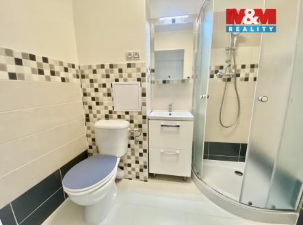 IMG_3275.jpeg | Pronájem bytu, 1+1, 27 m²