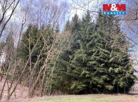 IMG_0991.jpeg | Prodej - pozemek, les, 4 244 m²