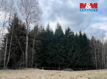 IMG_0993.jpeg | Prodej - pozemek, les, 4 244 m²