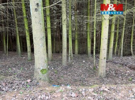 IMG_0988.jpeg | Prodej - pozemek, les, 4 244 m²