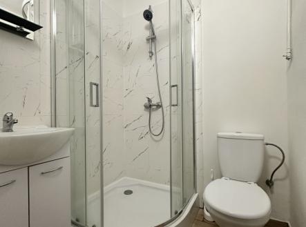 IMG_4828.JPG | Pronájem bytu, 1+1, 30 m²