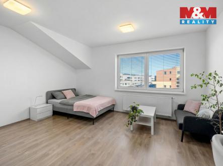 003.jpg | Pronájem bytu, 1+kk, 32 m²