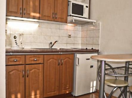 474087_4.jpg | Pronájem bytu, 1+kk, 28 m²