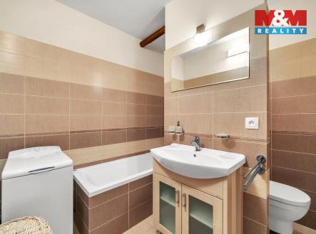 DSC06412.jpg | Pronájem bytu, 1+1, 49 m²