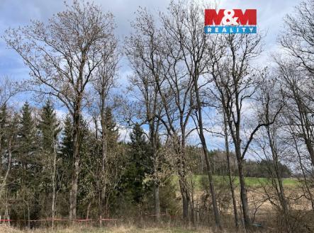 IMG_0981.jpeg | Prodej - pozemek, les, 11 072 m²