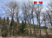 Prodej - pozemek, les, 11 072 m²