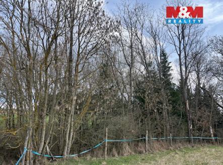 IMG_0972.jpeg | Prodej - pozemek, les, 11 072 m²