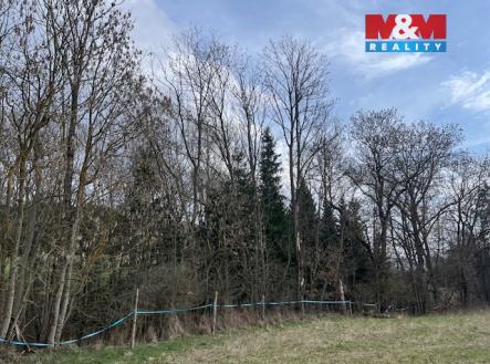 IMG_0973.jpeg | Prodej - pozemek, les, 11 072 m²