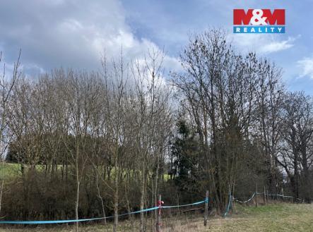 IMG_0974.jpeg | Prodej - pozemek, les, 11 072 m²