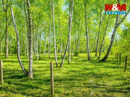 Zadní část pozemku | Prodej - pozemek pro bydlení, 3 825 m²