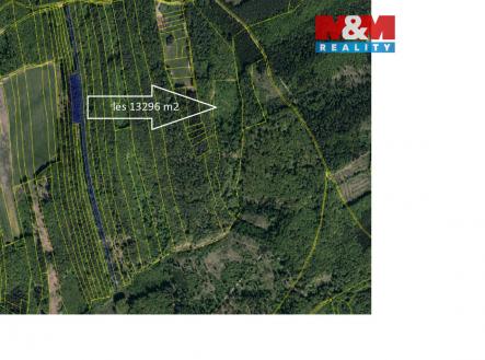 pozemek Luh 1.jpg | Prodej - pozemek, les, 13 296 m²