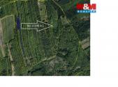 Prodej - pozemek, les, 13 296 m²
