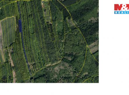 pozemek Luh.jpg | Prodej - pozemek, les, 13 296 m²