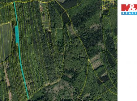 Luha.jpg | Prodej - pozemek, les, 13 296 m²