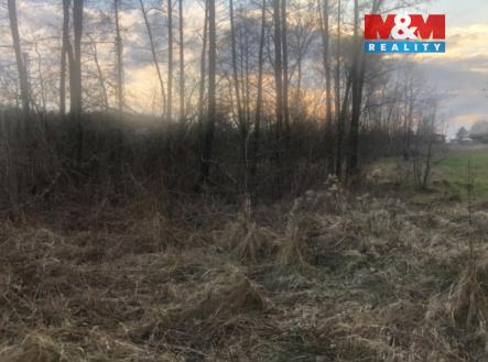 IMG_0766.jpeg | Prodej - pozemek, trvalý travní porost, 1 524 m²