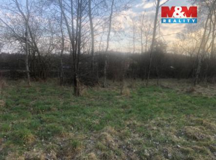 IMG_0764.jpeg | Prodej - pozemek, trvalý travní porost, 1 524 m²