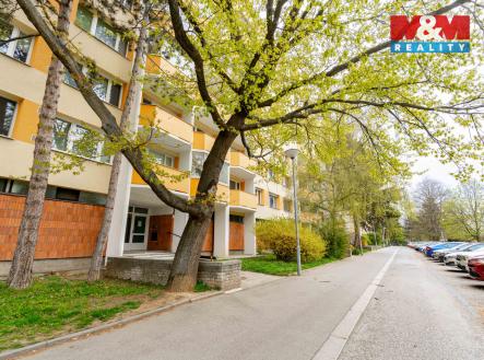 bytBr-3.jpg | Prodej bytu, 1+1, 37 m²