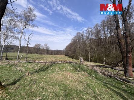 . | Prodej - pozemek, trvalý travní porost, 545 m²