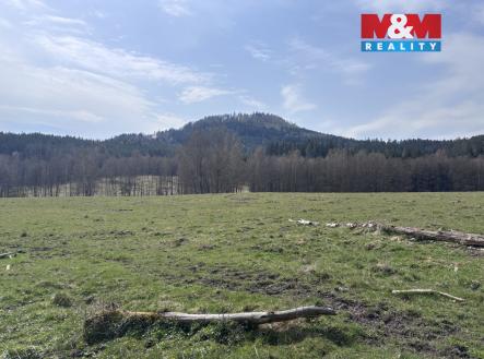 . | Prodej - pozemek, trvalý travní porost, 545 m²