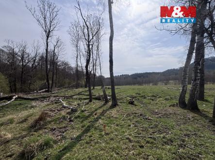 . | Prodej - pozemek, trvalý travní porost, 545 m²