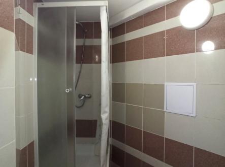 0-02-05-349997efab56ac34574142de8bc1a89fd7e67bed477cac3748cfab7d12b472d5_3c03dd9c008254dd.jpg | Pronájem bytu, 1+1, 54 m²