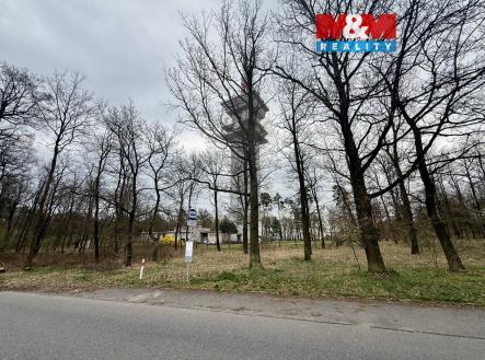 1 | Prodej - pozemek, les, 3 807 m²