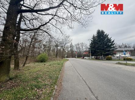 2 | Prodej - pozemek, les, 3 807 m²