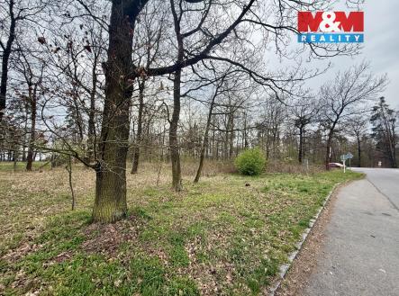 3 | Prodej - pozemek, les, 3 807 m²