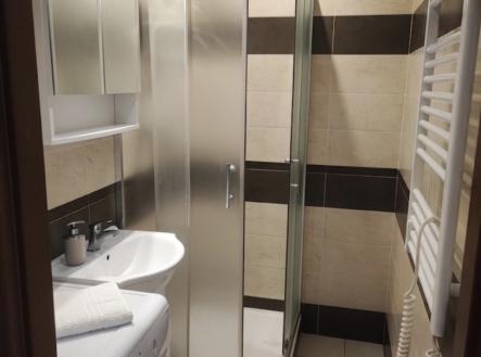 IMG_8302.jpeg | Pronájem bytu, 1+1, 34 m²