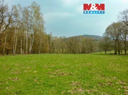 . | Prodej - pozemek, trvalý travní porost, 55 278 m²