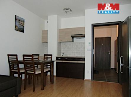 CIMG8340.jpg | Pronájem bytu, 1+kk, 27 m²
