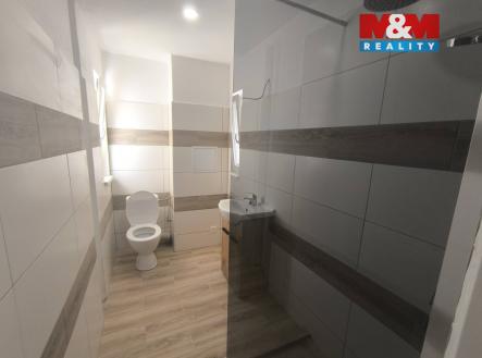 671121335_10224632308673393_3758456327367653039_n.jpg | Pronájem bytu, 2+1, 46 m²