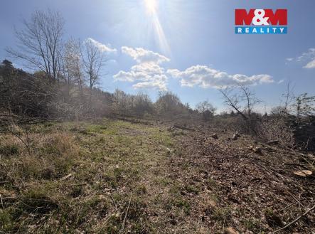 image_1F2E8946-CD50-4FFC-86D6-B4E754FDE3B3_1776454879.jpeg | Prodej - pozemek pro bydlení, 5 179 m²