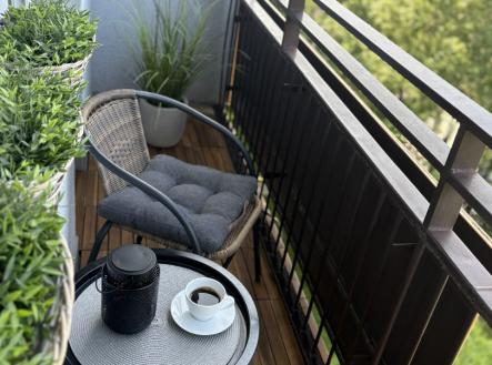 IMG_6558.jpeg | Pronájem bytu, 3+1, 65 m²