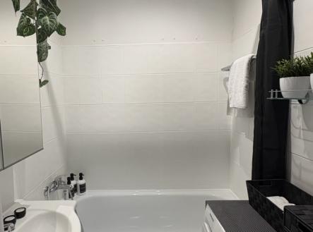 IMG_7373.jpeg | Pronájem bytu, 3+1, 65 m²