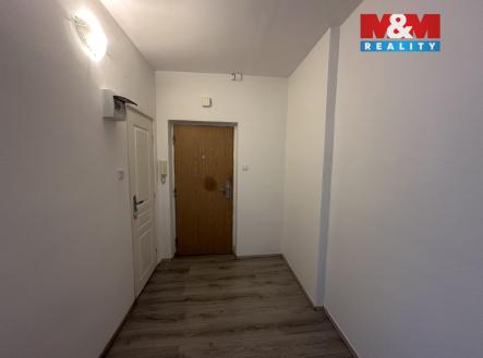 IMG_3131.jpeg | Pronájem bytu, 2+1, 55 m²