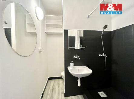 IMG_7310.jpeg | Pronájem bytu, 1+kk, 28 m²