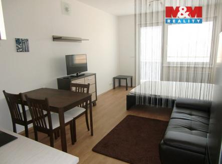 CIMG9890.jpg | Pronájem bytu, 1+kk, 33 m²