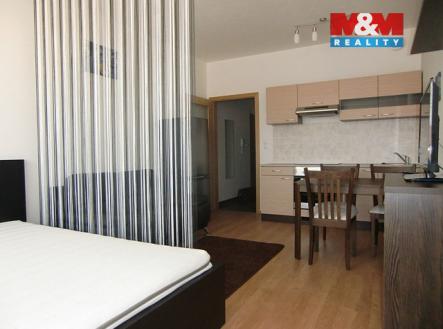 CIMG9894.jpg | Pronájem bytu, 1+kk, 33 m²